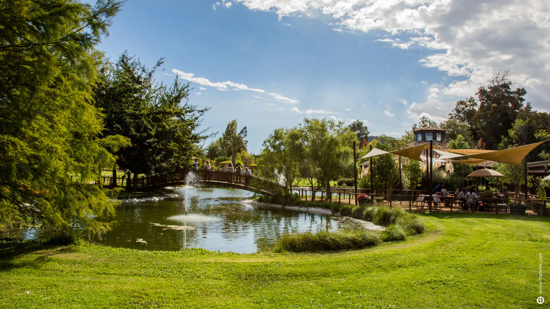 Matetic Jardines 026.webp